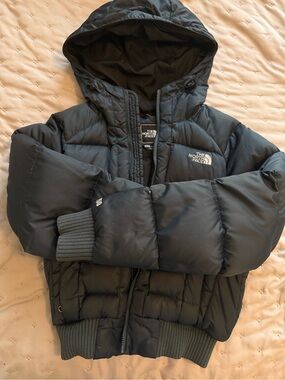 The North Face 550 Navy Blue Hooded Puffer Jacket